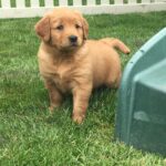 Bailey Madchen