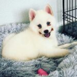Lola Madchen
