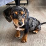 Winnie Madchen
